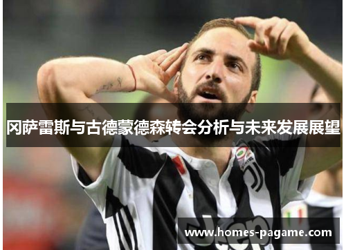 冈萨雷斯与古德蒙德森转会分析与未来发展展望