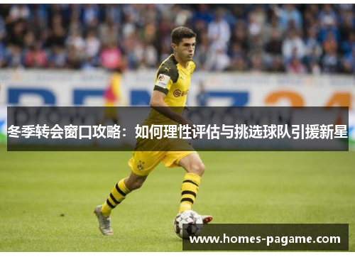 冬季转会窗口攻略：如何理性评估与挑选球队引援新星