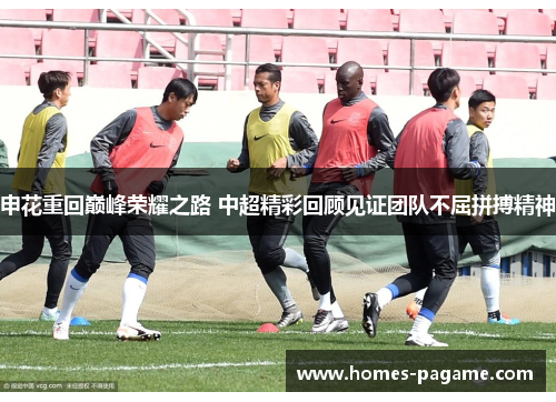 申花重回巅峰荣耀之路 中超精彩回顾见证团队不屈拼搏精神