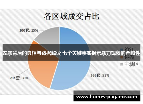 家暴背后的真相与数据解读 七个关键事实揭示暴力现象的严峻性