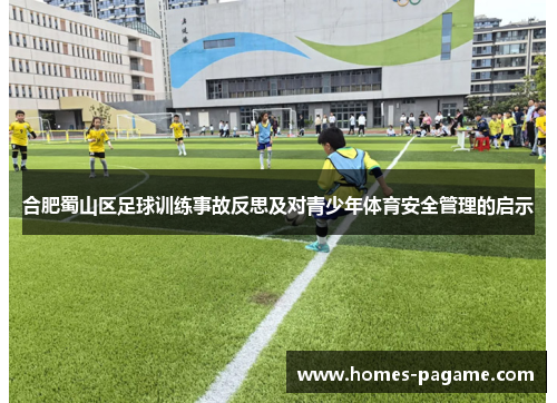 合肥蜀山区足球训练事故反思及对青少年体育安全管理的启示