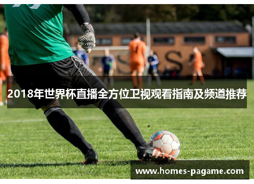 2018年世界杯直播全方位卫视观看指南及频道推荐