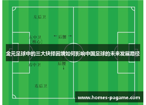 金元足球中的三大抉择困境如何影响中国足球的未来发展路径