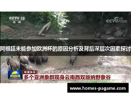 阿根廷未能参加欧洲杯的原因分析及背后深层次因素探讨