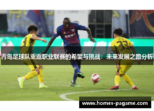 青岛足球队重返职业联赛的希望与挑战：未来发展之路分析