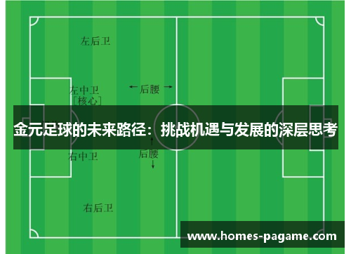 金元足球的未来路径：挑战机遇与发展的深层思考