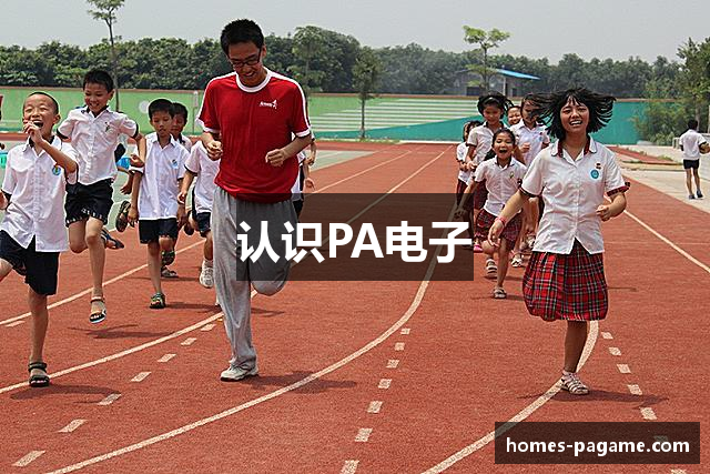 认识PA电子